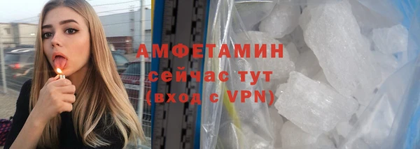 стаф Бородино