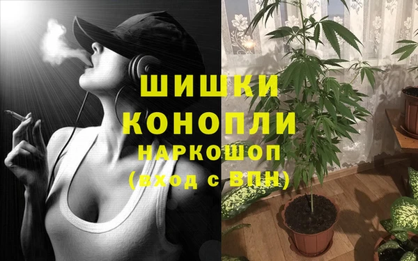 прущая мука Мегион