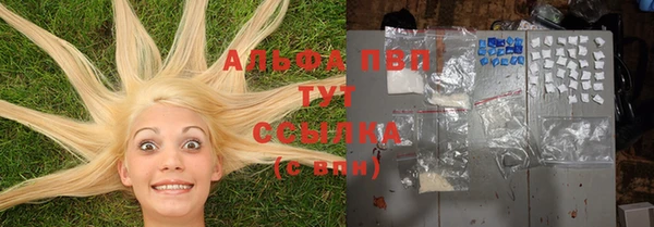 альфа пвп Медвежьегорск