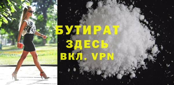 прущие грибы Апатиты