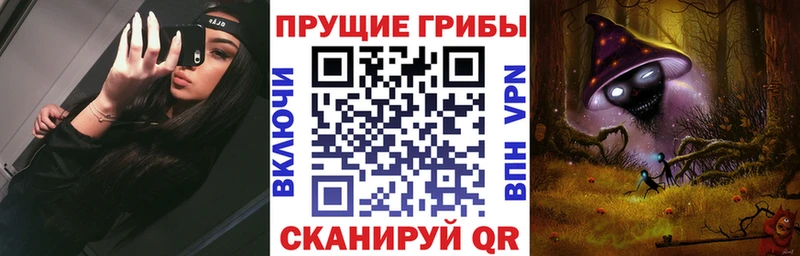Псилоцибиновые грибы Cubensis  дарнет шоп  Котельниково 